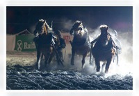 horse-sledge race