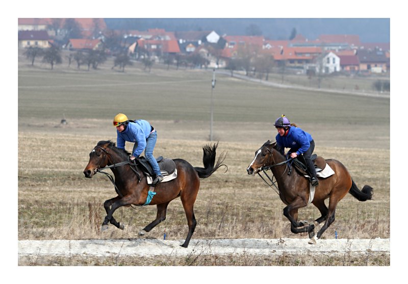 Bošovice